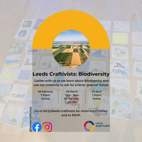 Leeds Craftivists - Biodiversity photo