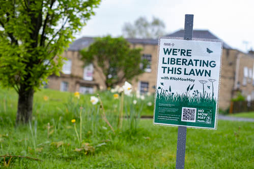 Bradford Cathedral marks No Mow May photo